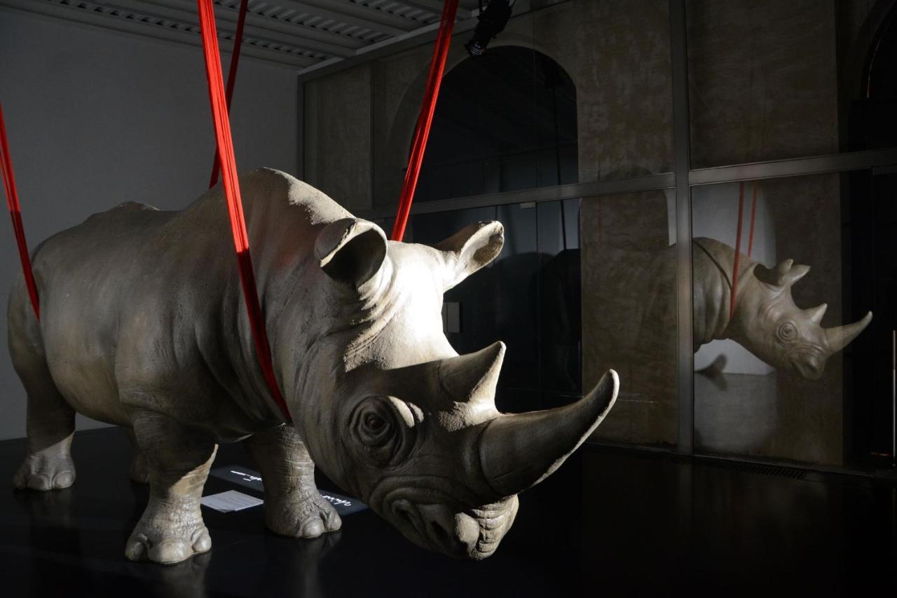 Rhinoceros Aparthotel Rome Exterior photo